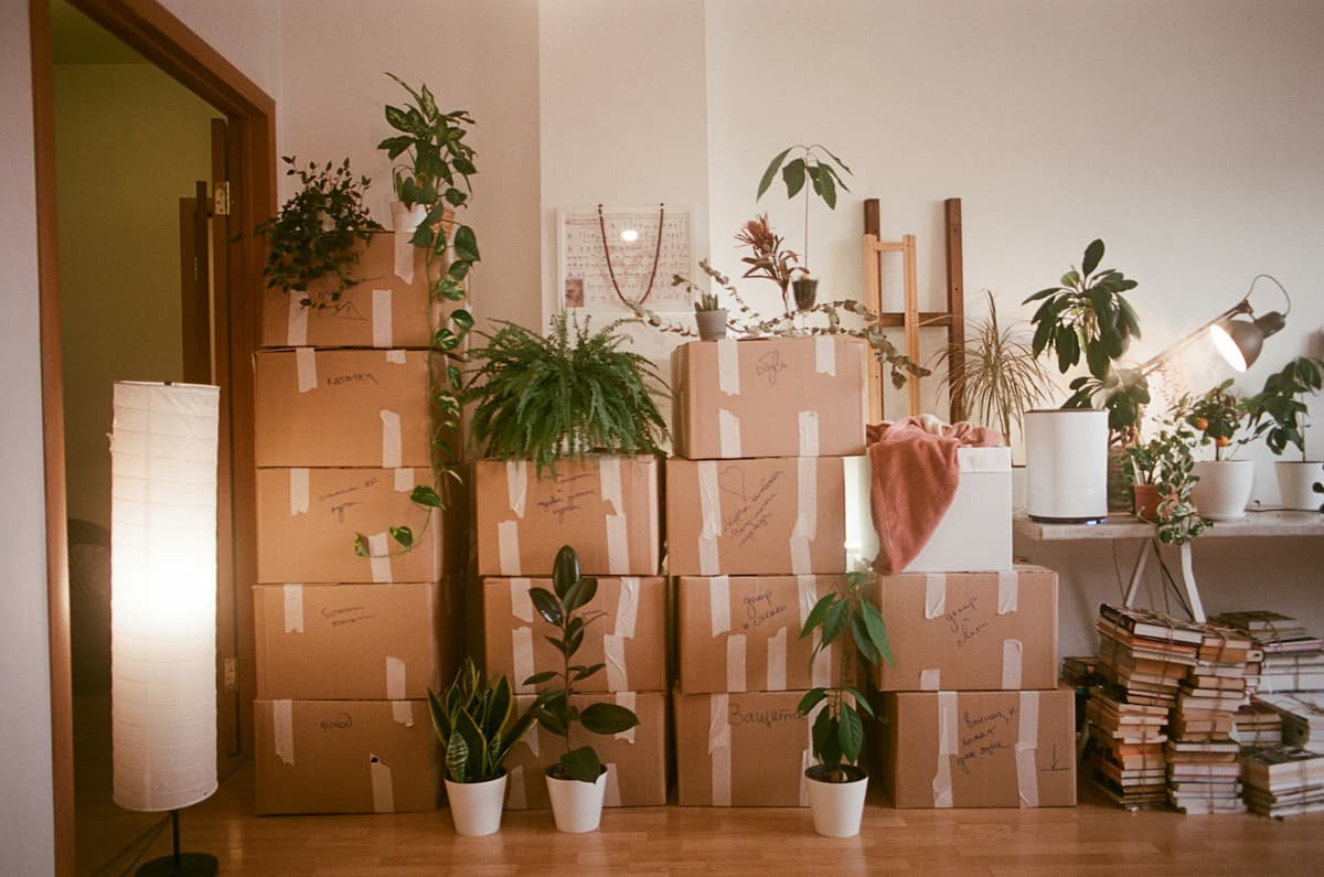 Protecting Yourself During A Move